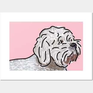 Bichon Frise Dog on Pink Posters and Art